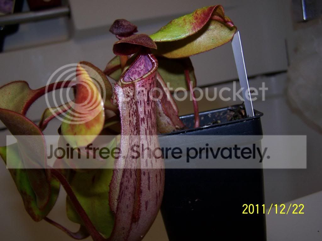 100_5659.jpg