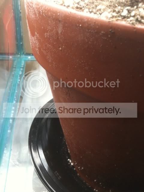 photo-16.jpg