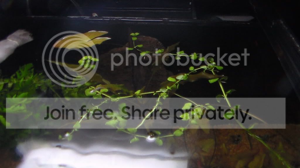 SAM_1629_zps9d7476f2.jpg