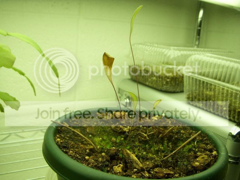 DSCN3467.jpg