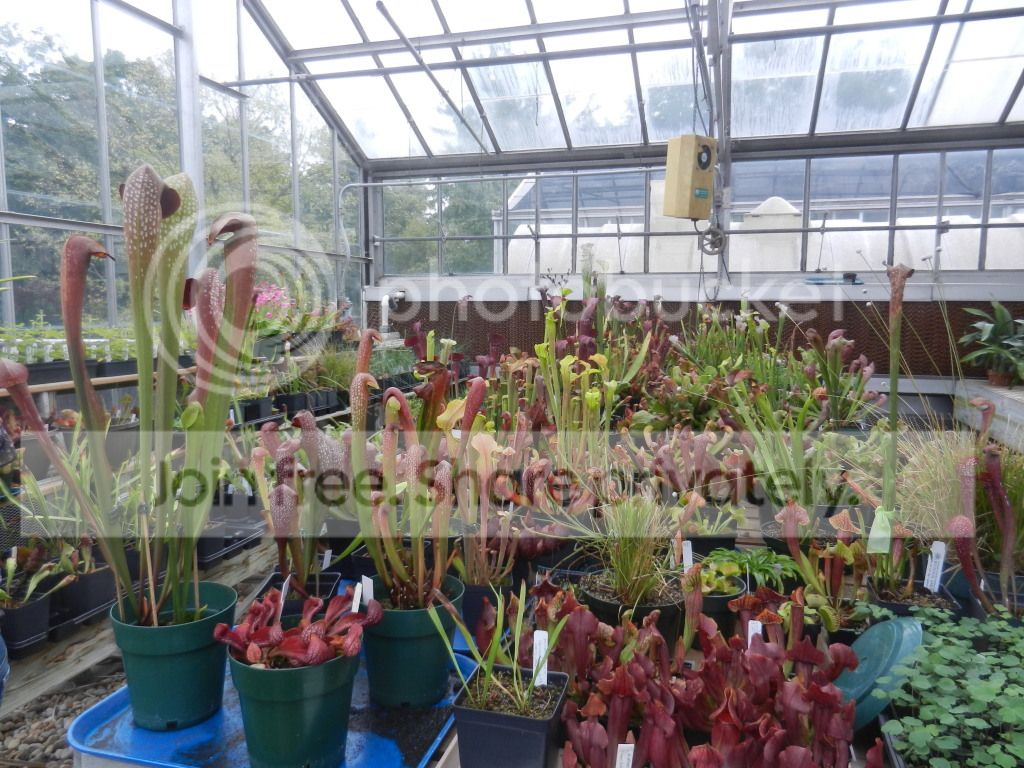 UNCCGreenhouse046.jpg