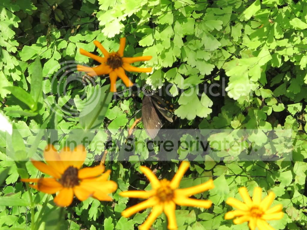 IMG_8346.jpg