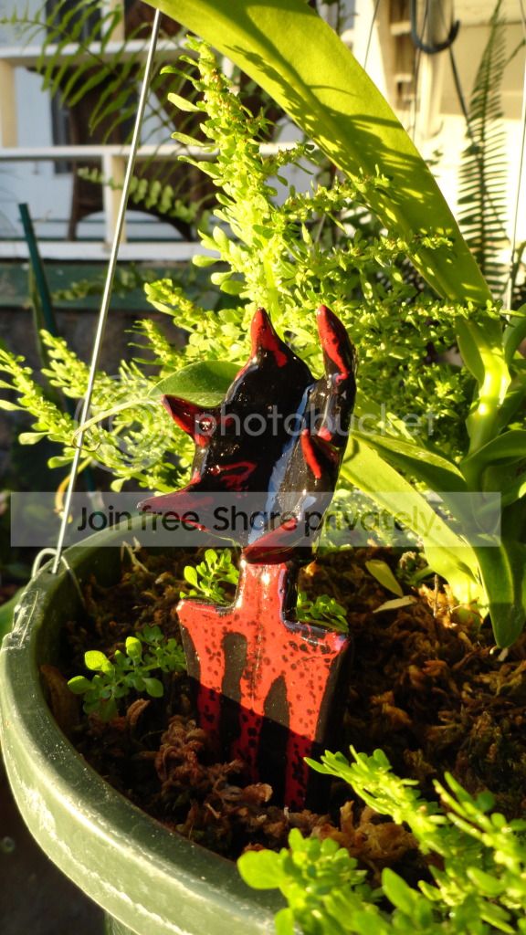 DSC03826.jpg