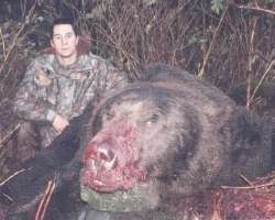 bear.jpg