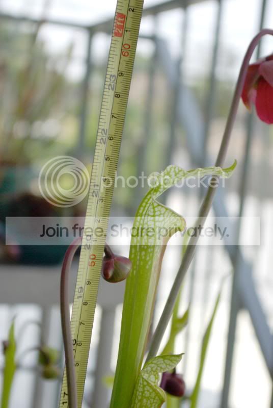 _IGP0093a.jpg