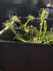 24401696600_7561f8fc49_m.jpg