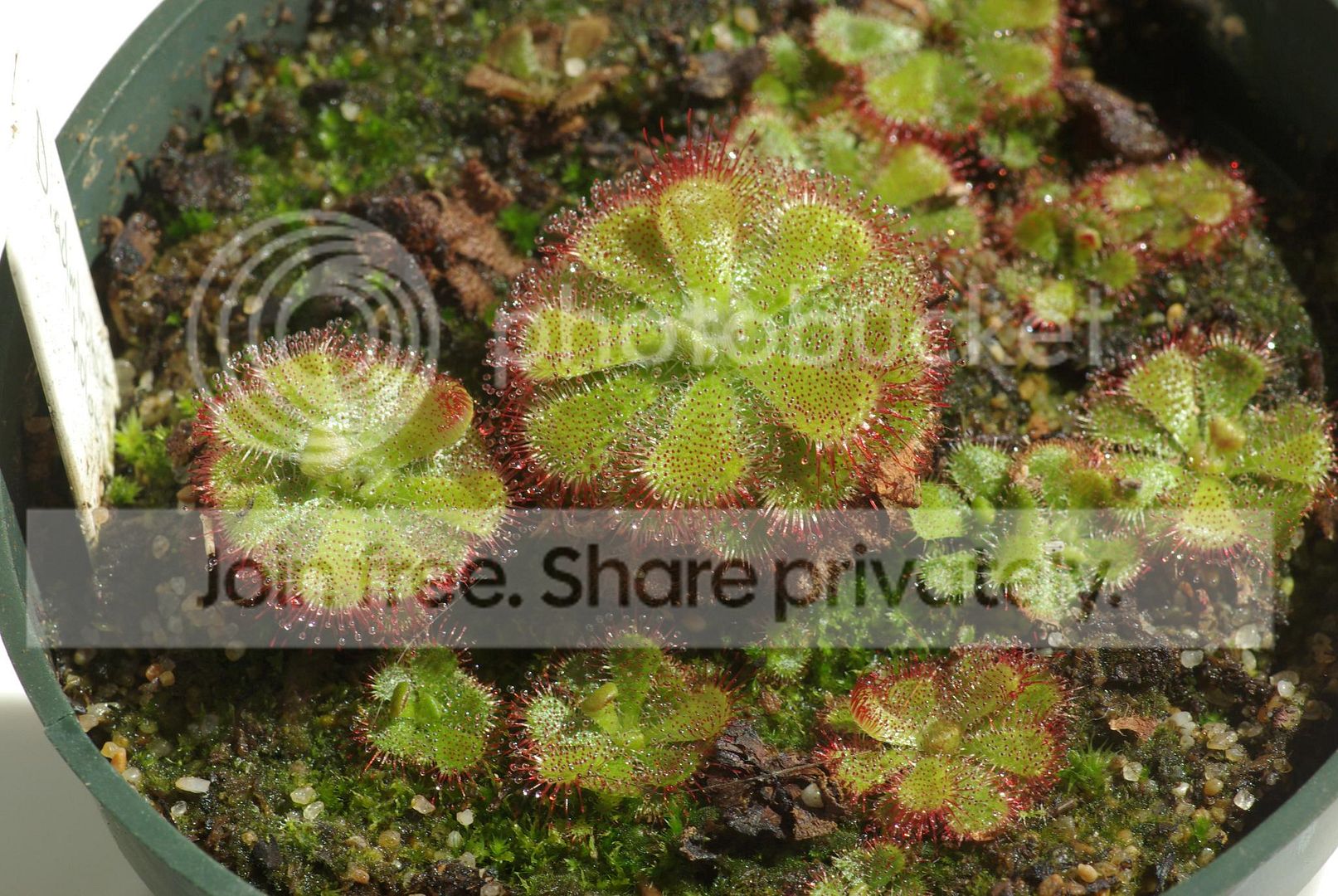 IMGP7782copy.jpg