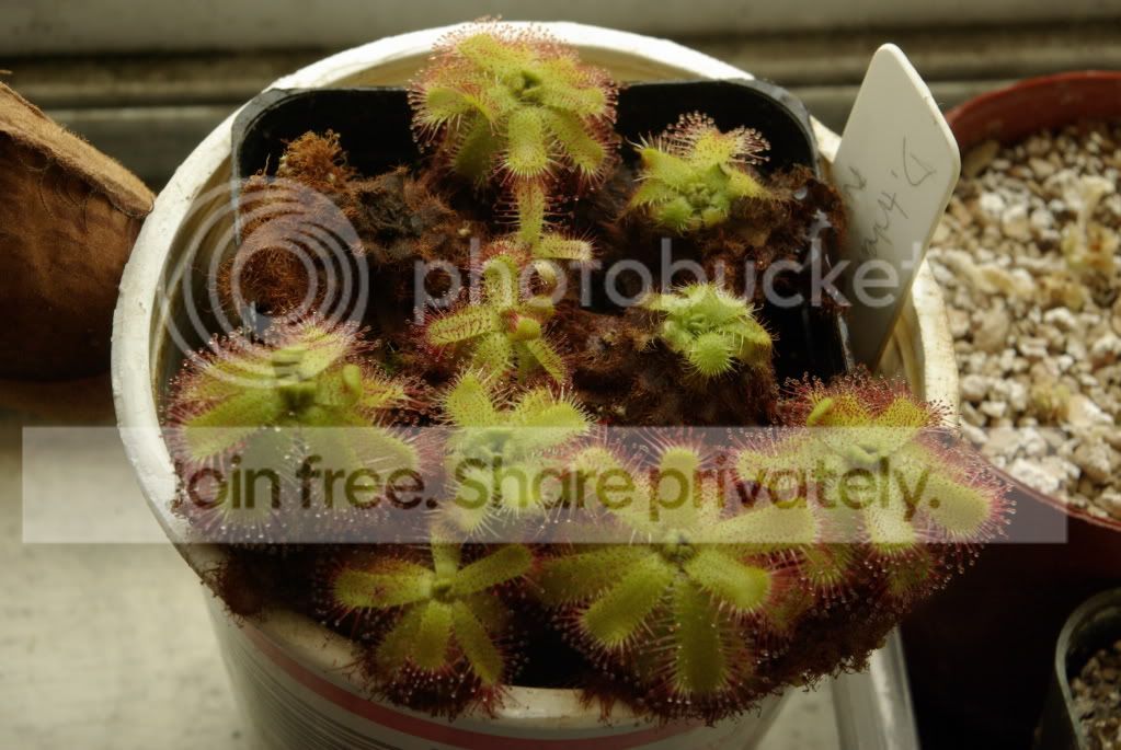 _IGP0754.jpg