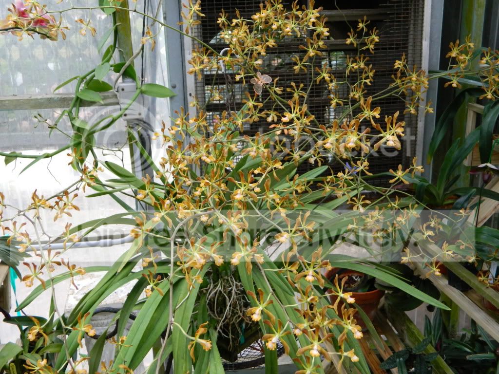DSCN0178.jpg