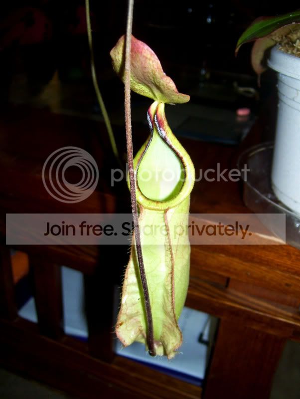 100_2897.jpg