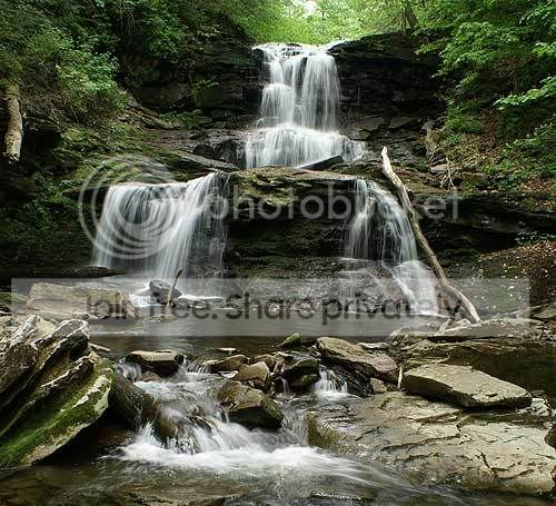 Picture-7244wf.jpg