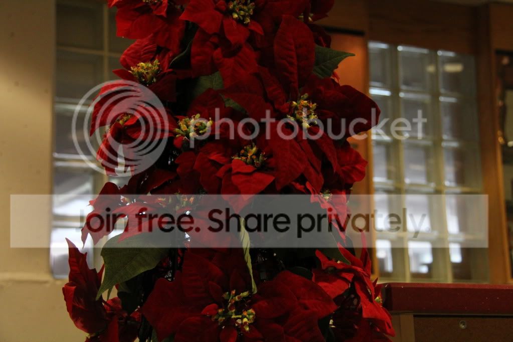 IMG_1240.jpg