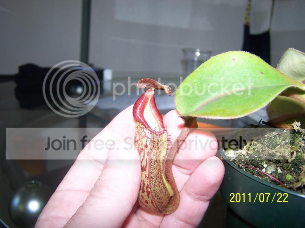 100_4896.jpg