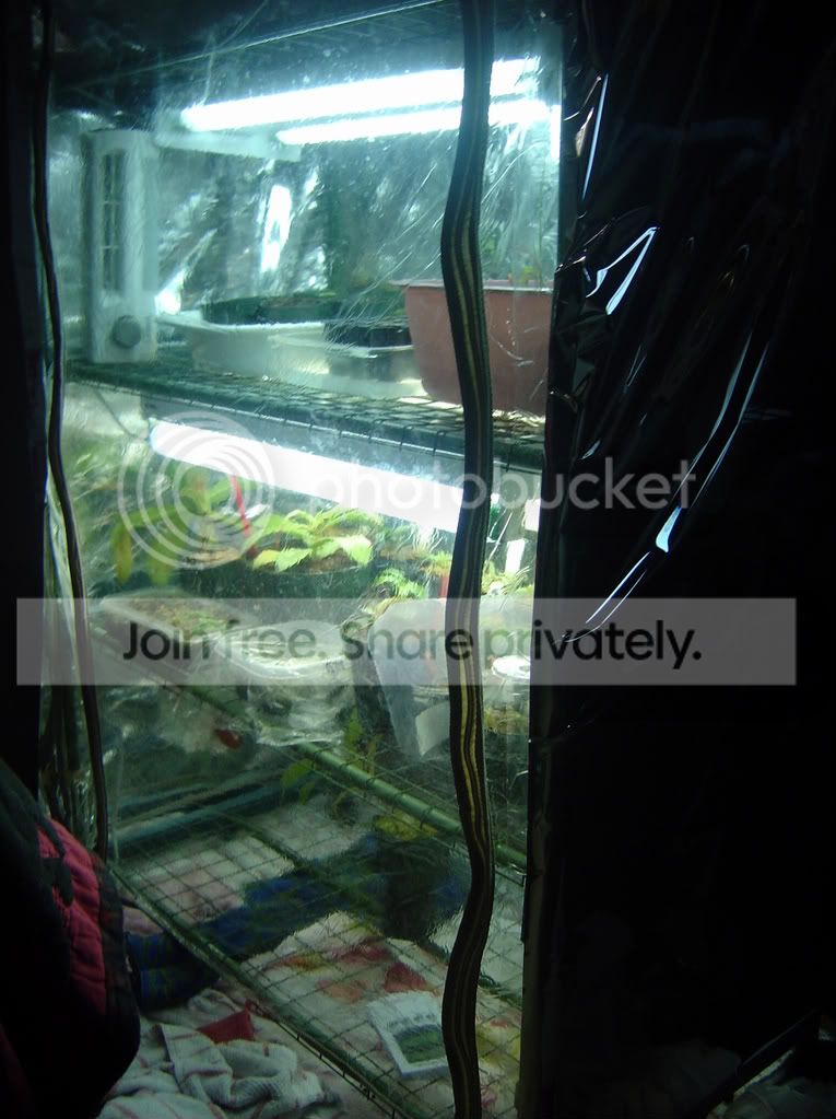 growrack006.jpg