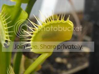 DSCN0374-2.jpg