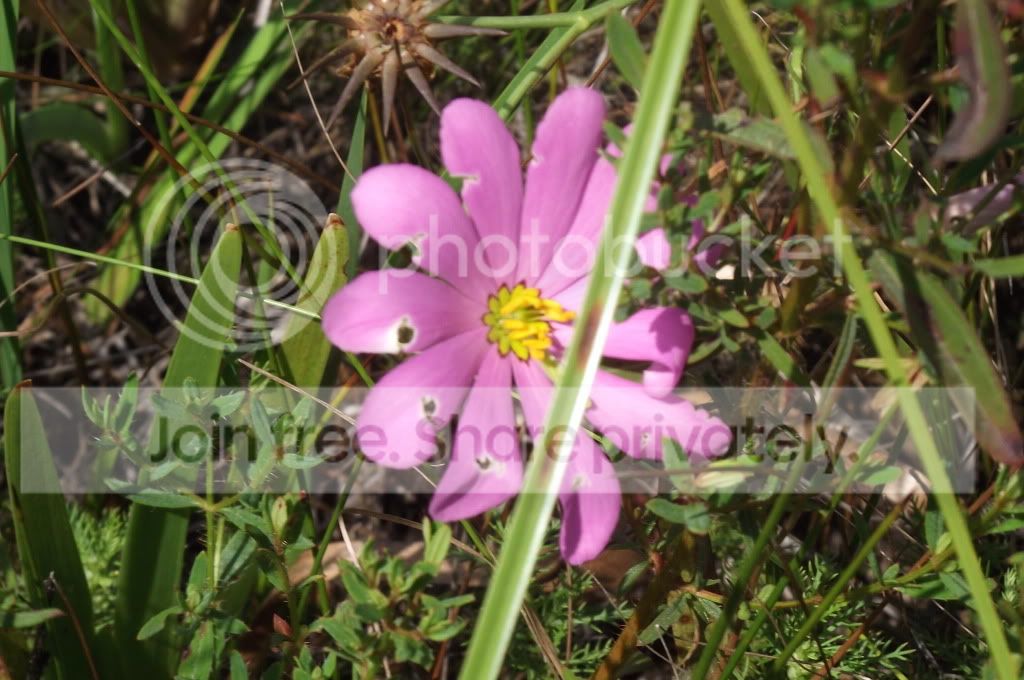 DSCF8480.jpg