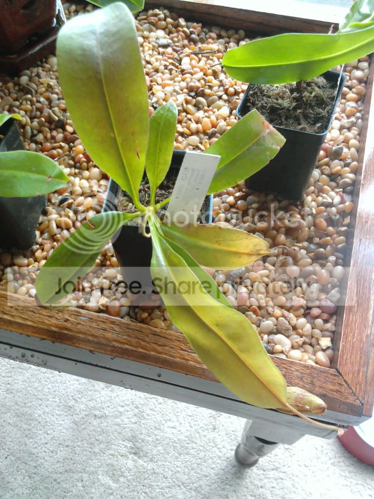 2011-07-14124437.jpg