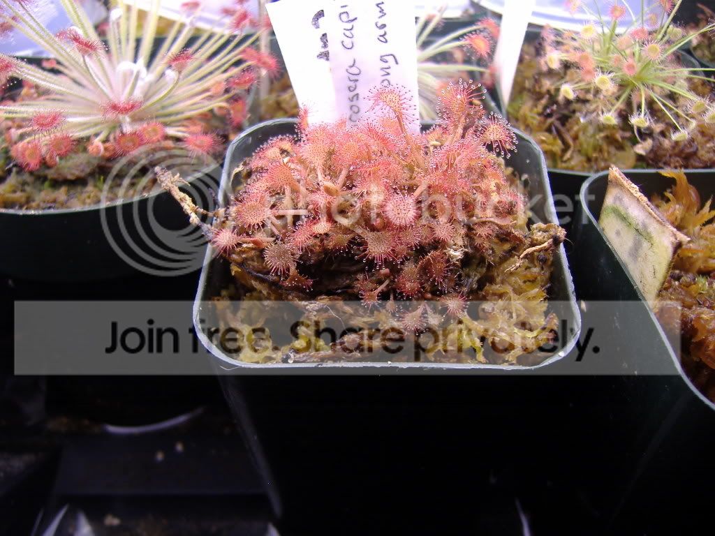 DSCF1749.jpg