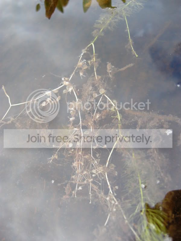 DSCN6146.jpg