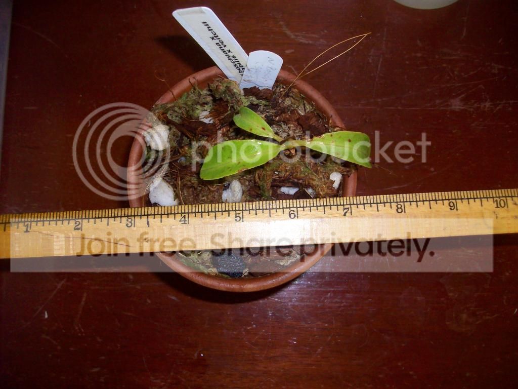 100_3747.jpg