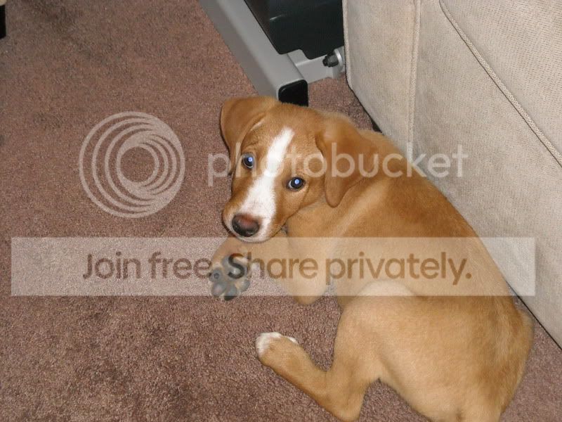 Charlie5.jpg