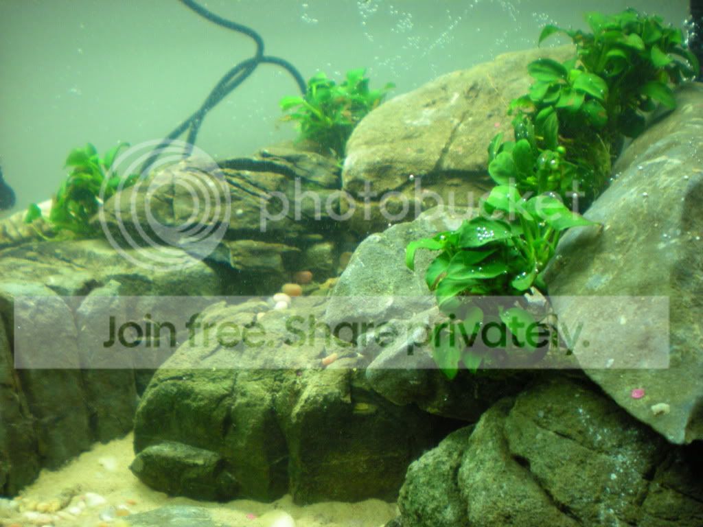 DSCN3842.jpg