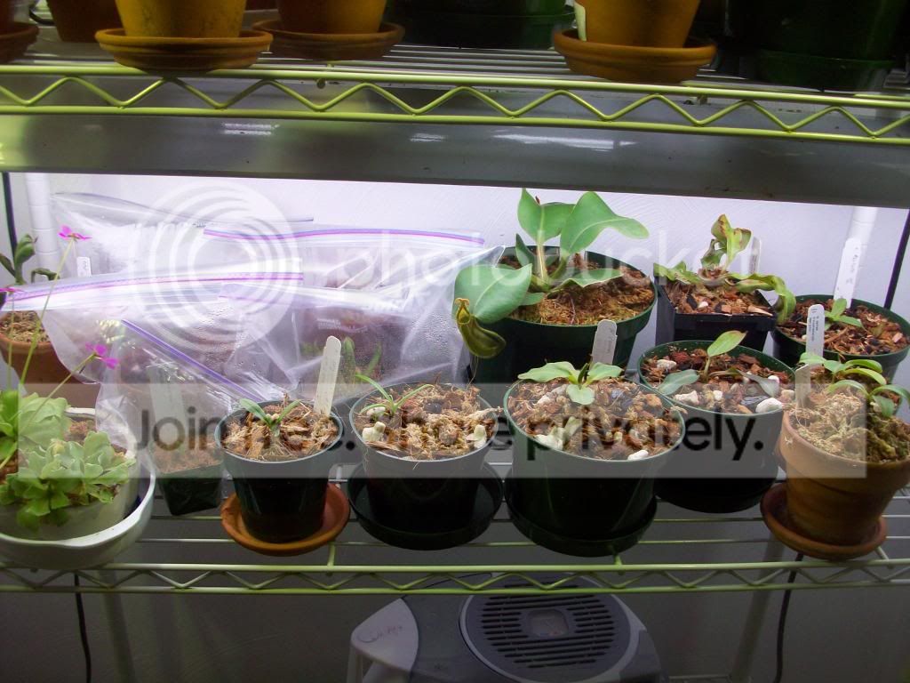 100_3503.jpg