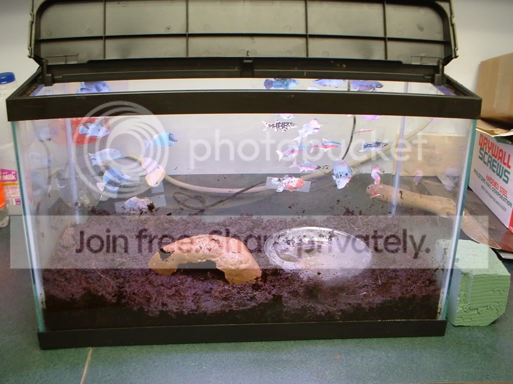 Newgrowshelf024.jpg