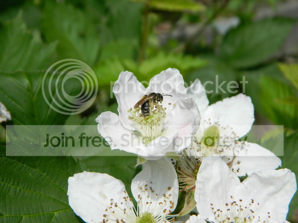 DSCN0590.jpg