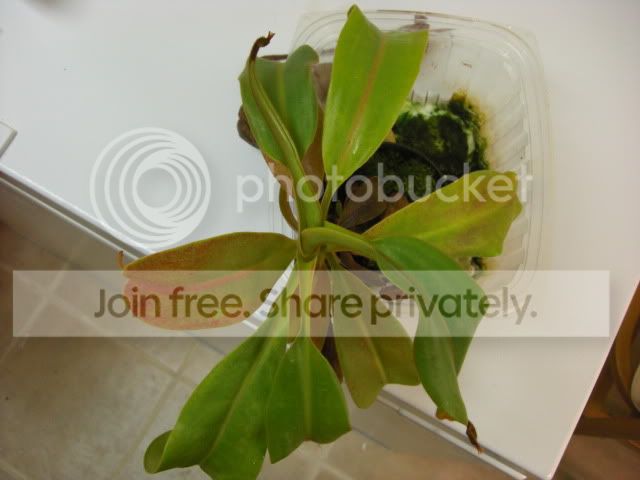 Picture203.jpg