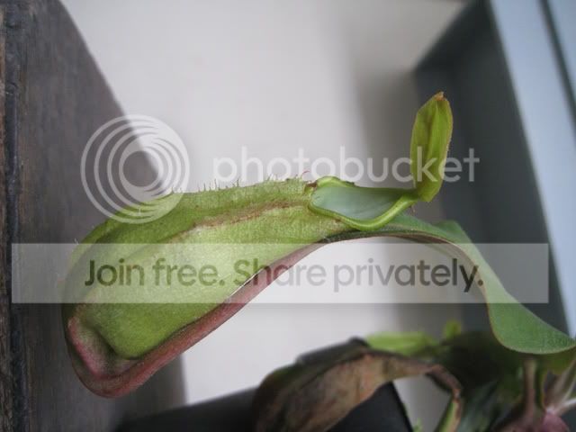 IMG_7662.jpg