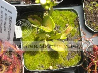DSCN0268-3.jpg