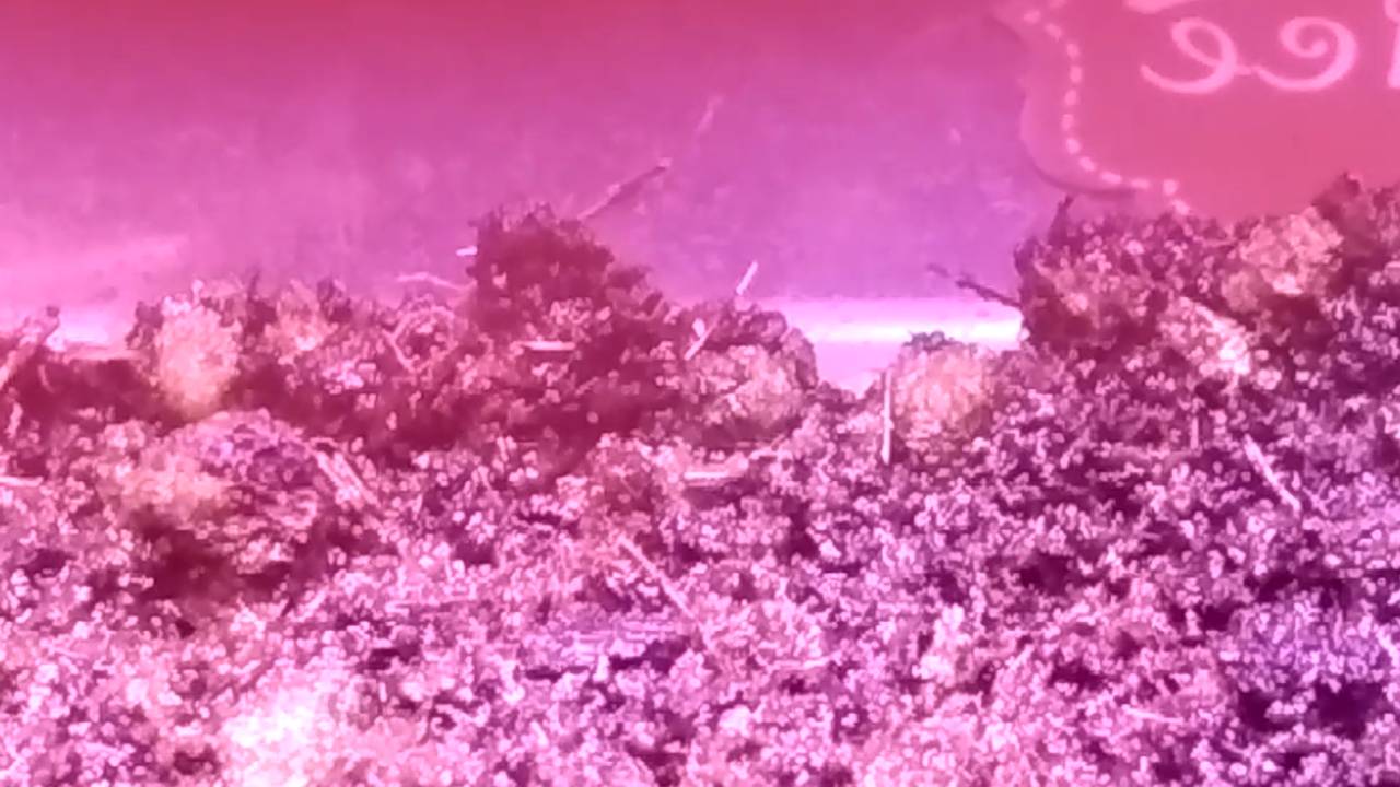 3b0ddb1cfbcb52516054b9268860671f.jpg