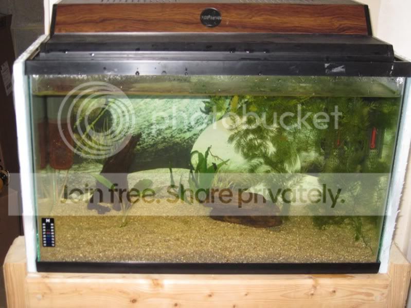 tank-001.jpg