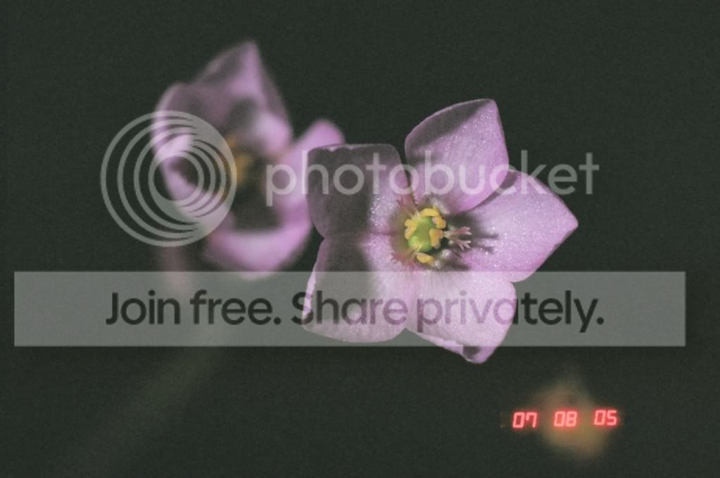 04020002.jpg