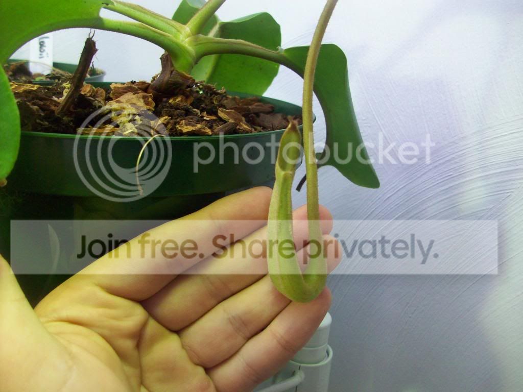 100_3117.jpg