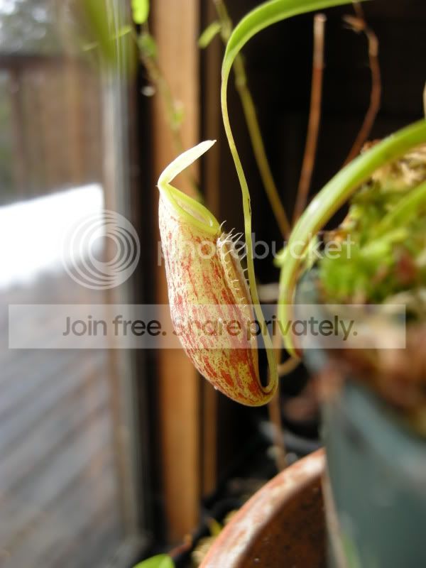 DSCN5852.jpg
