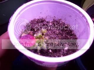 100_00381.jpg