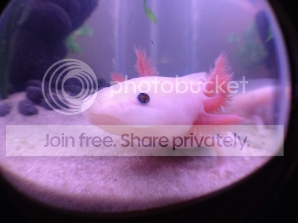 3e3e8c6c.jpg