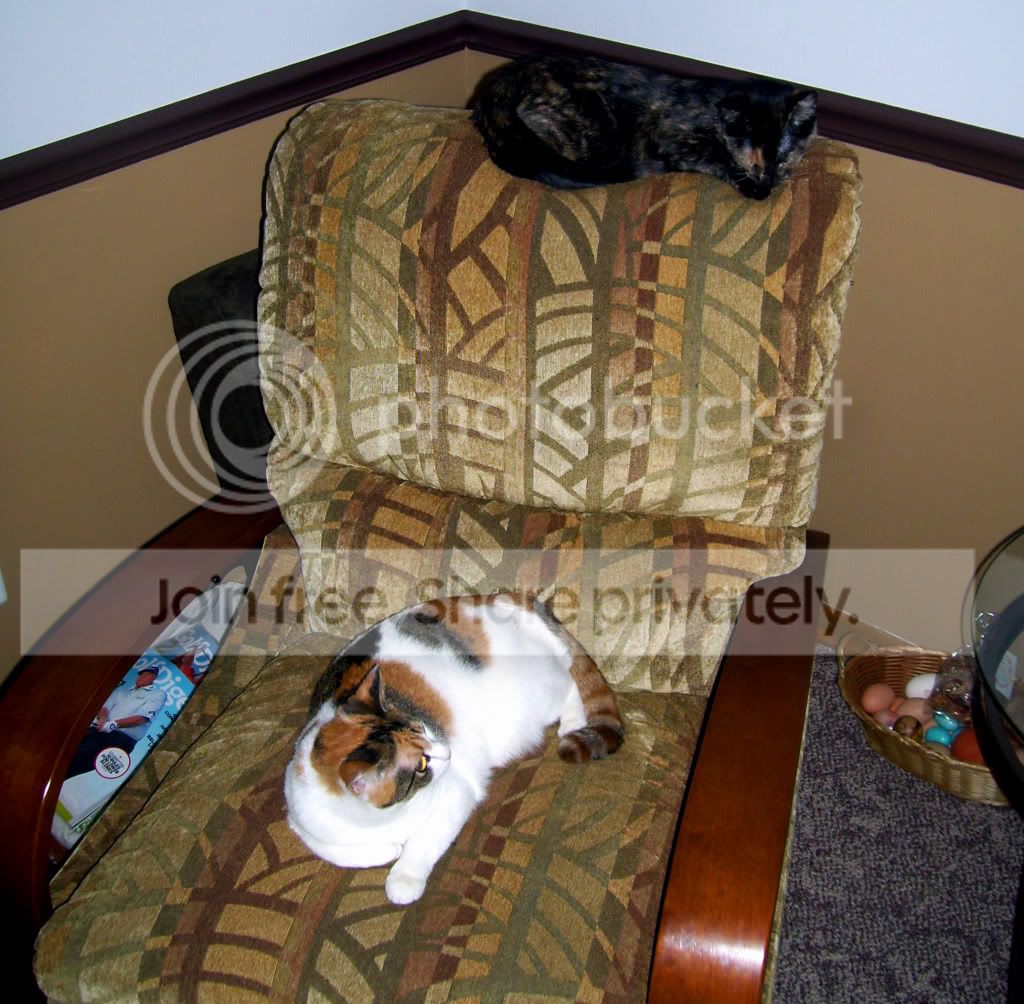 100_6428.jpg