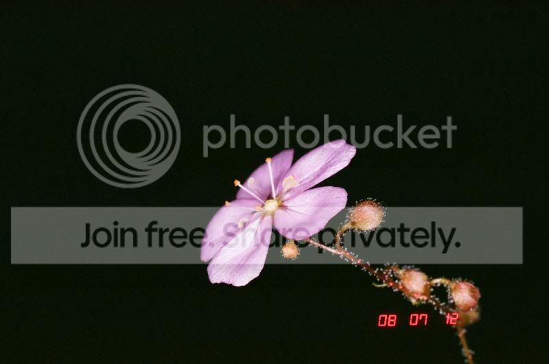 01370021.jpg