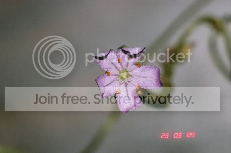 04380021.jpg