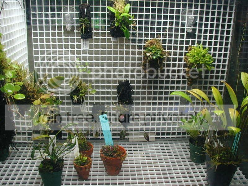 P1010352.jpg