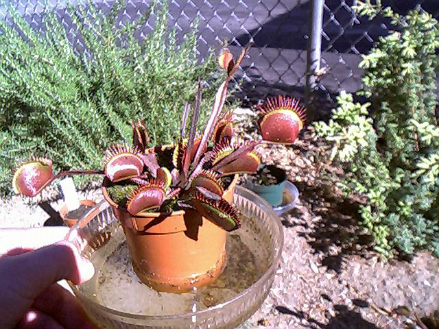 VFT1013_013.jpg