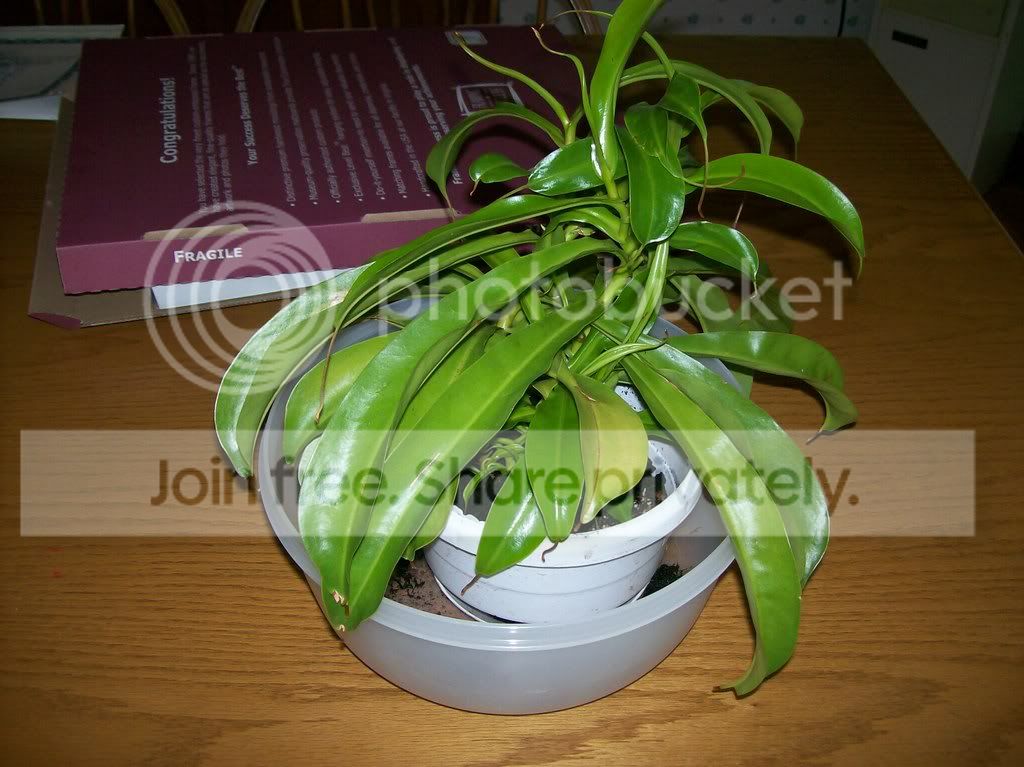 somepics166.jpg