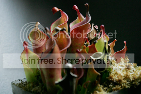 _MG_4399-1.png