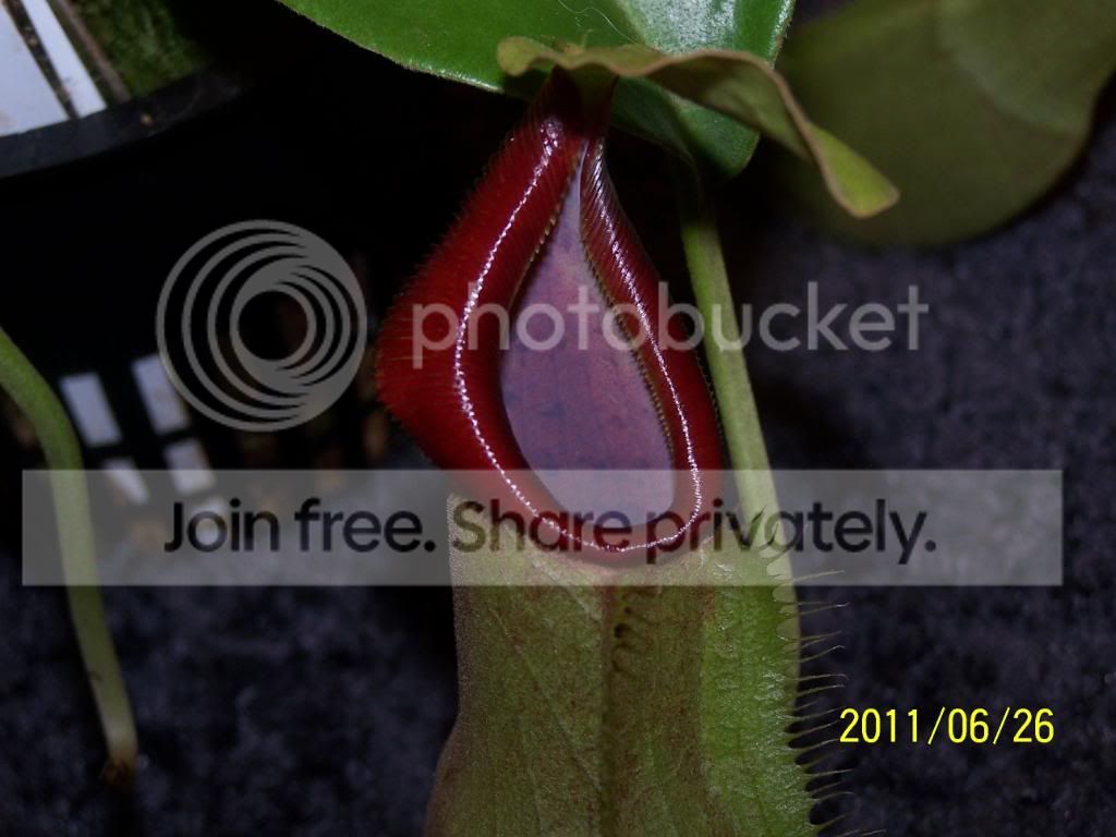100_4725.jpg