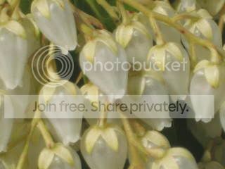 Spring2009025.jpg