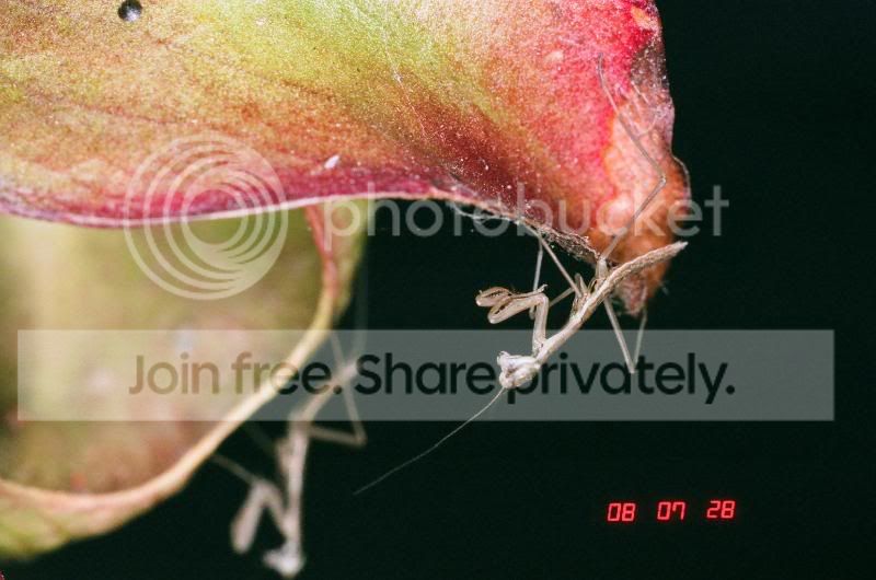 01370025.jpg