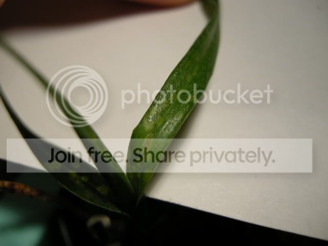 DSCN8751.jpg